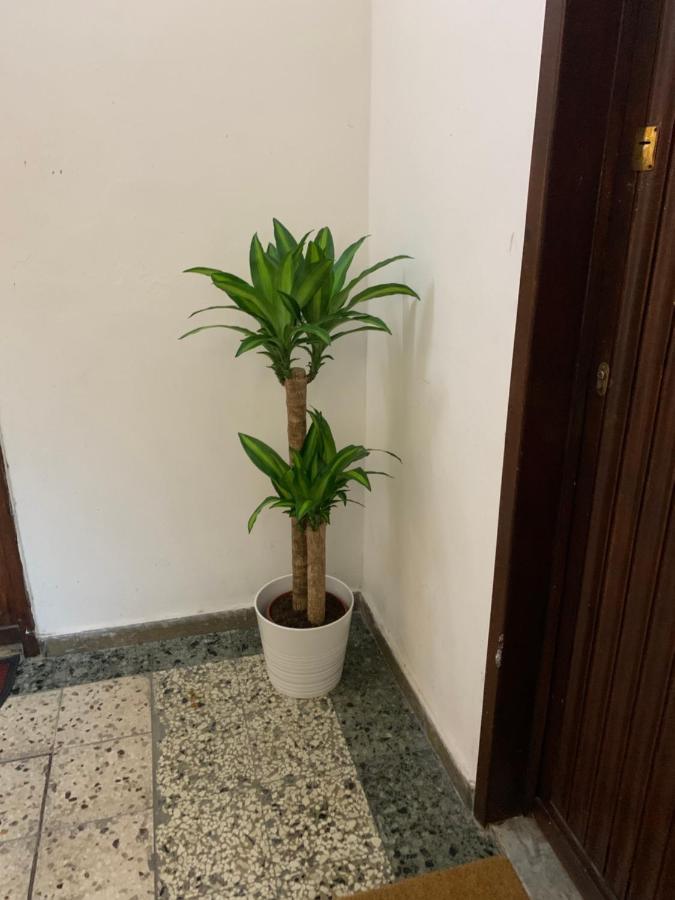 Pisa Train Station Guest House エクステリア 写真